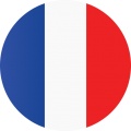 Mannenstem 3 - Frans - Francophone - French